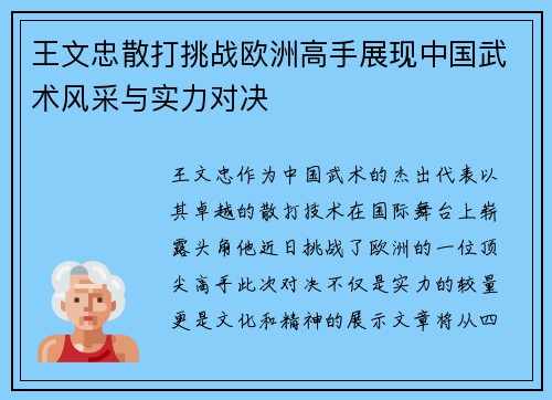 王文忠散打挑战欧洲高手展现中国武术风采与实力对决