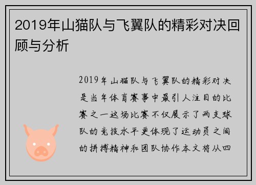 2019年山猫队与飞翼队的精彩对决回顾与分析