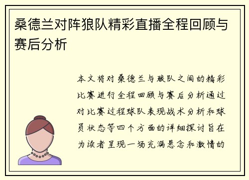 桑德兰对阵狼队精彩直播全程回顾与赛后分析